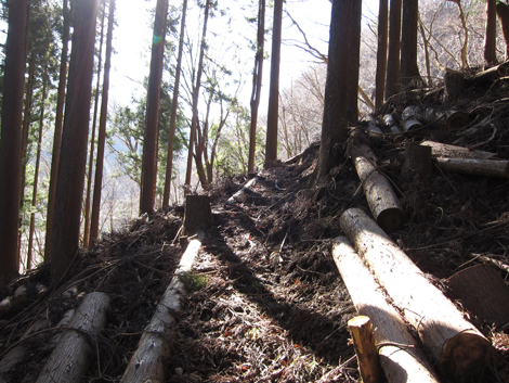 20200110hike (14)